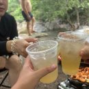 사지목 나무그늘 이미지