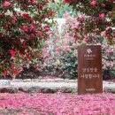 남원읍-82 이미지