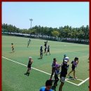 기품있는 태권도장 이미지