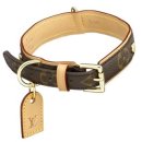 루이비똥 개 애견샵 이미지