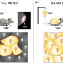 반짝반짝 - 3678 | 반짝반짝