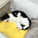 202403 레미제라블, 빨래, 아이유콘서트, 에픽하이콘서트, 대성팬콘서트, 댓글부대