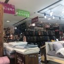WEDDING_결혼이불: 세사리빙(동대문)