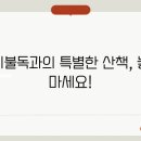 프렌치 이미지