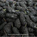 대형농장1호 이미지