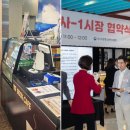 피에스프로젝트