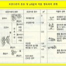 레이화 이미지