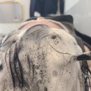 선산대로-50 | 구미 두피관리 고민이라면? 30대 남자 두피 트러블 케어 받고 온 미모 리얼 후기