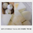 선이네과일 - 창원시 진해구 여좌로 75 | 선이네과일