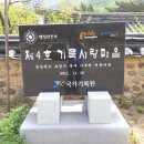 한국의 아름다운 마을숲 전국대상 - 포항 "덕동마을"( 4.22 ) 이미지