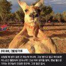 PT 잘하는 집 이미지
