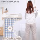 돼지모양 화장실 이미지