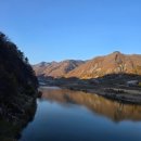 박스 더 영월 | 영월 여행 서부시장 맛집 총정리｜미탄집 메밀전병·일미닭강정·소금빵 솔직후기