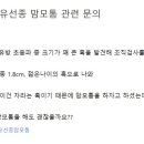 심외과의원 이미지