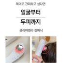 뷰티펫 이미지