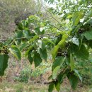 단산농장 이미지