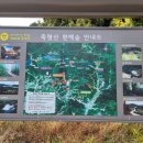 축령산 산소길(2구간) 이미지