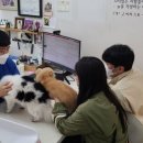 낙성대동-26 이미지