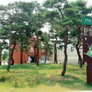 반디장터 이미지