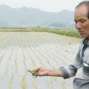 도암 만덕간척지 이미지