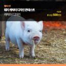 (주)캘리스코 이미지