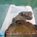 성동소방서 이미지