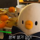 카페 디아즈 이미지