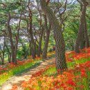 사천만회 네이버블로그
