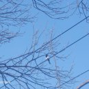 정펜션 | 독채펜션 유휴정, 첫 후기