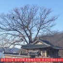 삼귀(중앙) 이미지