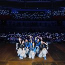 롤링버니즈 이미지