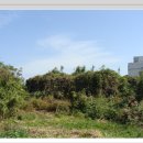 함덕연대 이미지