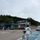 방문목장 | 대관령 양떼목장 방문 후기 🐑 강원도에서 아이와 함께 걷기 좋은 목장 먹이주기 체험