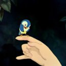 거북막국수 이미지