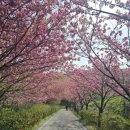 해강목장 | 서산 여행 - 문수사, 개심사