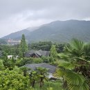 모네즈 | 블챌]25년에도 왓츠인마이블로그 시작! 비왔지만 부모님과 함께 추억 남기고 온 독일마을 남해모네즈풀빌라