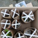 리라약국 이미지