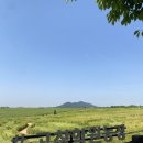 (주)다인푸른농장 | [고창 여행]축제 끝난 고창 학원농장 청보리밭 솔직 후기 입장료 주차 정보