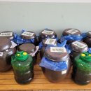 평동중학교 이미지