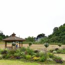 매향리 평화생태공원 이미지