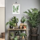 그린홈인테리어 이미지