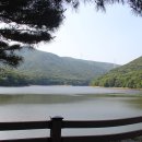 나무사이로 햇살이 이미지