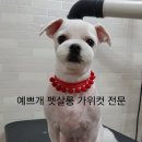 예쁘개펫살롱 이미지