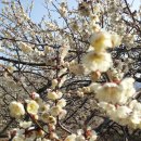 박재홍 농장 이미지