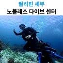 노블레스 스킨 | 세부 다이빙 제대로 즐기기｜노블레스 다이브 센터에서 세부펀다이빙·세부 스킨스쿠버 후기