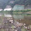 한덕리 | 홍천 한덕리유원지 노지캠핑