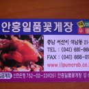 안흥일품꽃게장