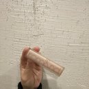 미앤제로 | 롬앤 제로 매트 립스틱 07 엔비미 구매후기