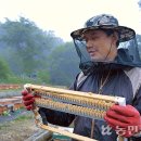 NBS 한국농업방송 ＜양봉장 운영해 고소득 올리는 김명진씨＞ 이미지