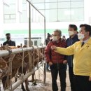 소군수 로컬투데이